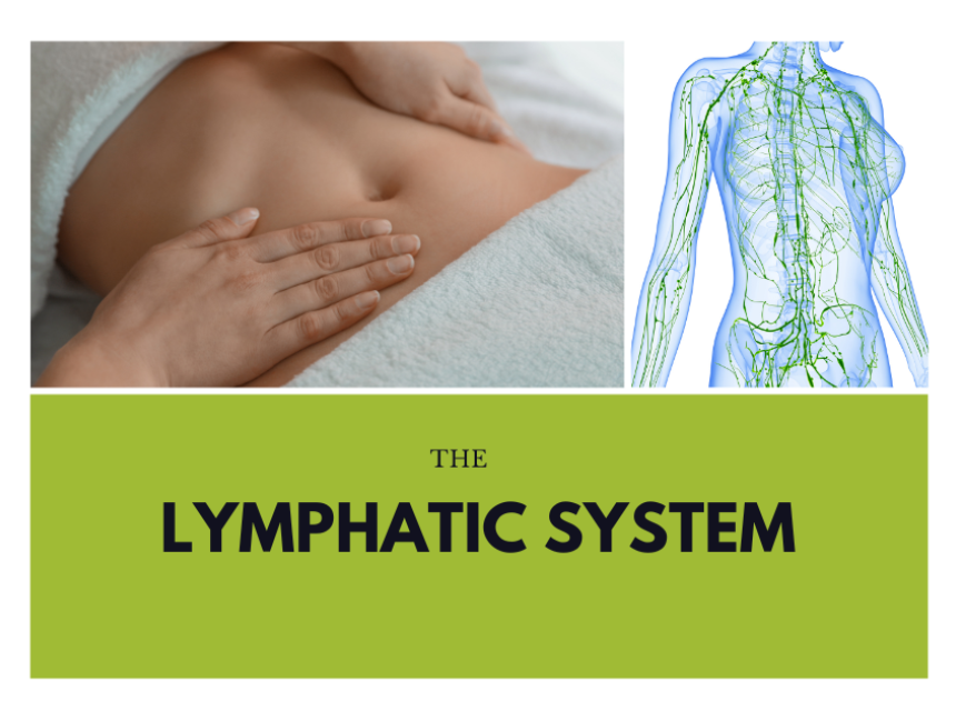 body depicting the lymphatic system & massage